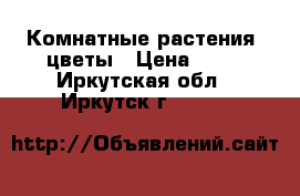 Комнатные растения, цветы › Цена ­ 50 - Иркутская обл., Иркутск г.  »    